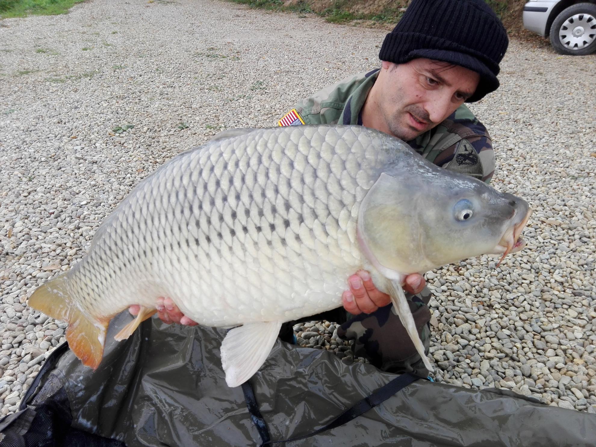 1-5 Octombrie Cetariu - img20161002095833.jpg